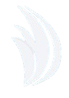 AV Overseas Trading Logo