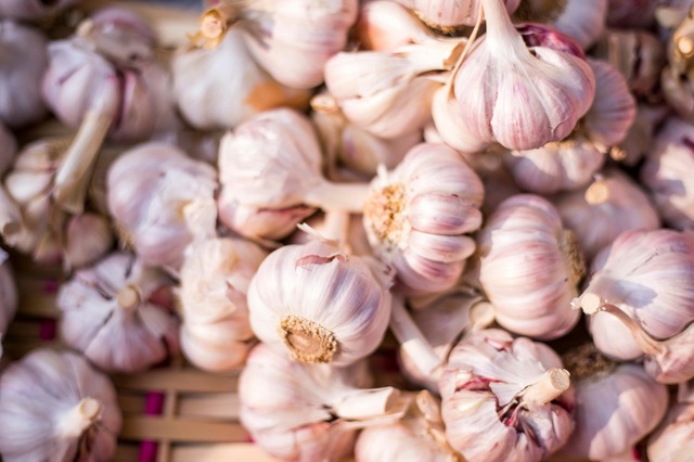 Fresh Garlic - Premium Indian garlic exported to USA, Canada, UAE, Indonesia, Thailand, Russia, EU, Vietnam, Bangladesh, New Zealand.