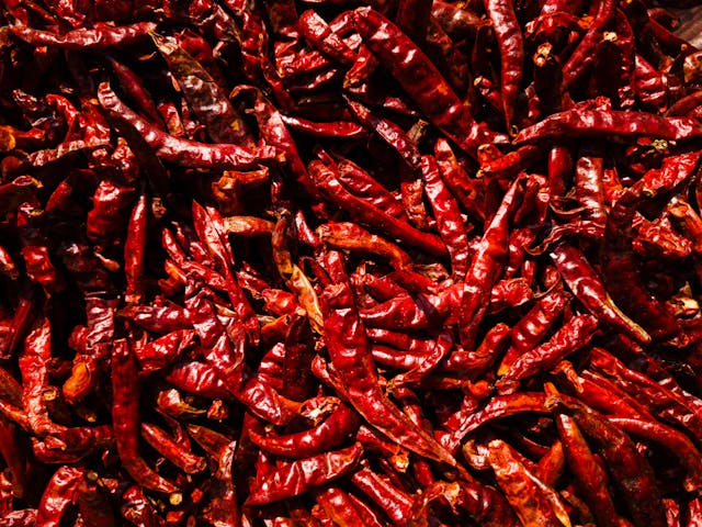 Red Chilli - Premium Indian red chillies exported to USA, Canada, UAE, Indonesia, Thailand, Russia, EU, Vietnam, Bangladesh, New Zealand.